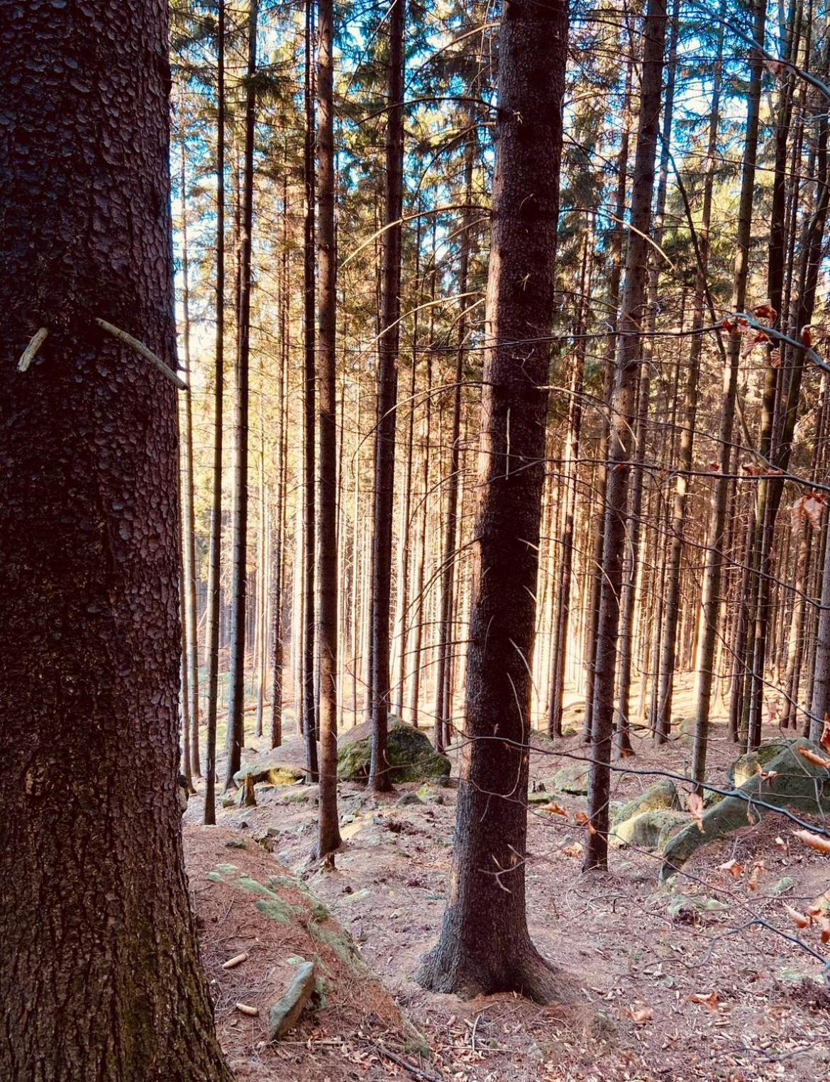 Stodola Na Widoku Villa Radkow Buitenkant foto