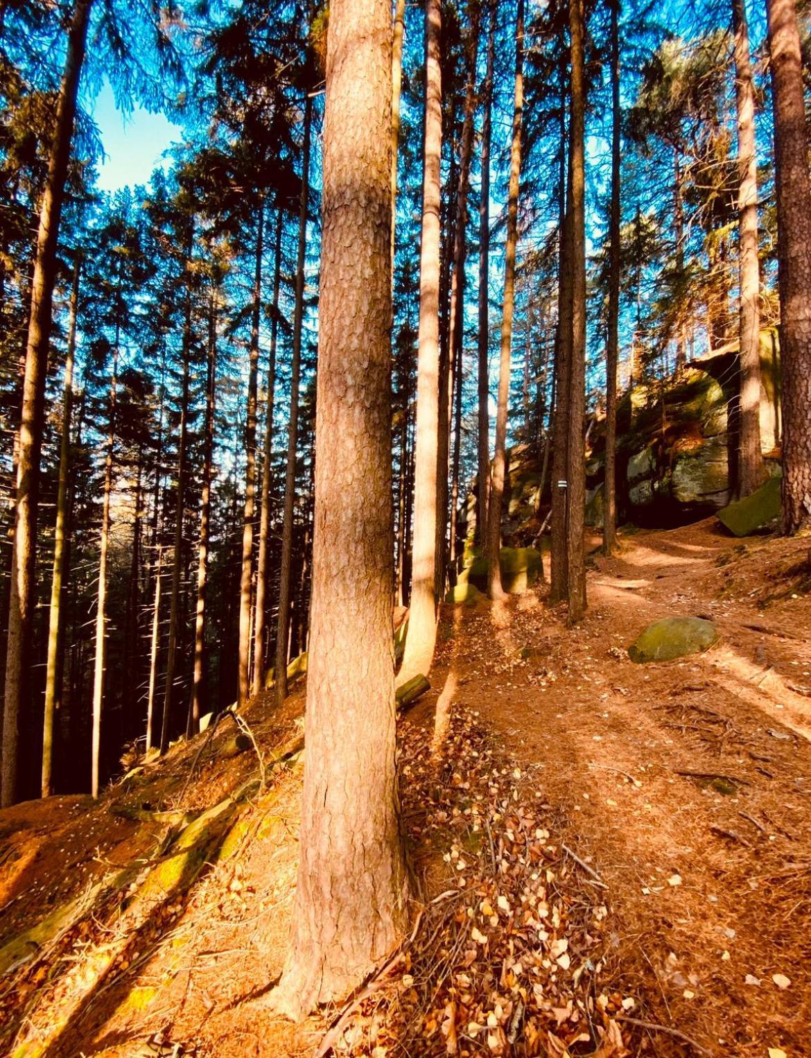 Stodola Na Widoku Villa Radkow Buitenkant foto