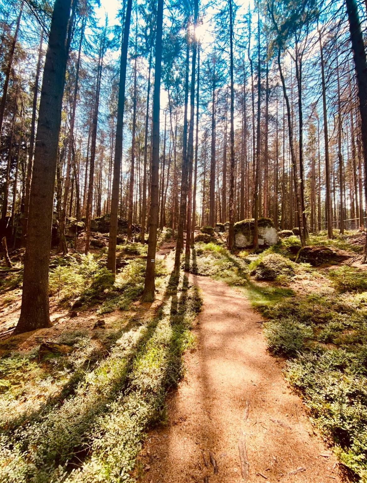 Stodola Na Widoku Villa Radkow Buitenkant foto